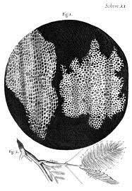 Hooke bu odacıklara hücre (cellula) adını verdi.