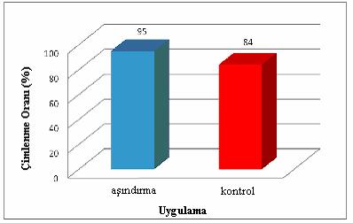 26 Şekil 4.6. Tohum kabuğunun mekanik olarak aşındırma işleminin soda otu (Salsola kali subsp. ruthenica) tohumlarının çimlenmesine etkisi 4.1.3.6. Meyve kabuğunun uzaklaştırılması Meyve kabuğunun