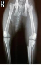 postoperative V/D radiological