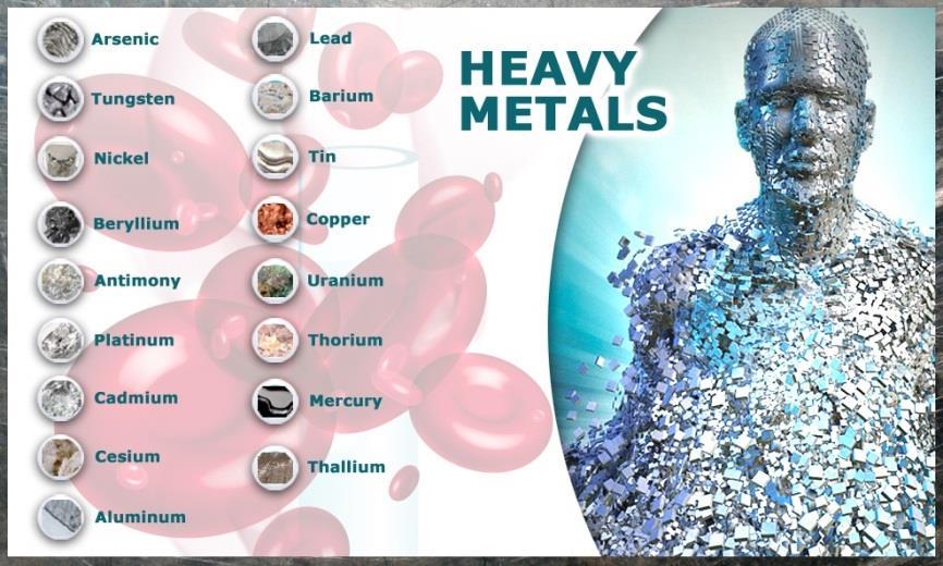 başladılar. Bunun sonucunda ağır metal maruziyetleri karşımıza çıkmaya başladı.