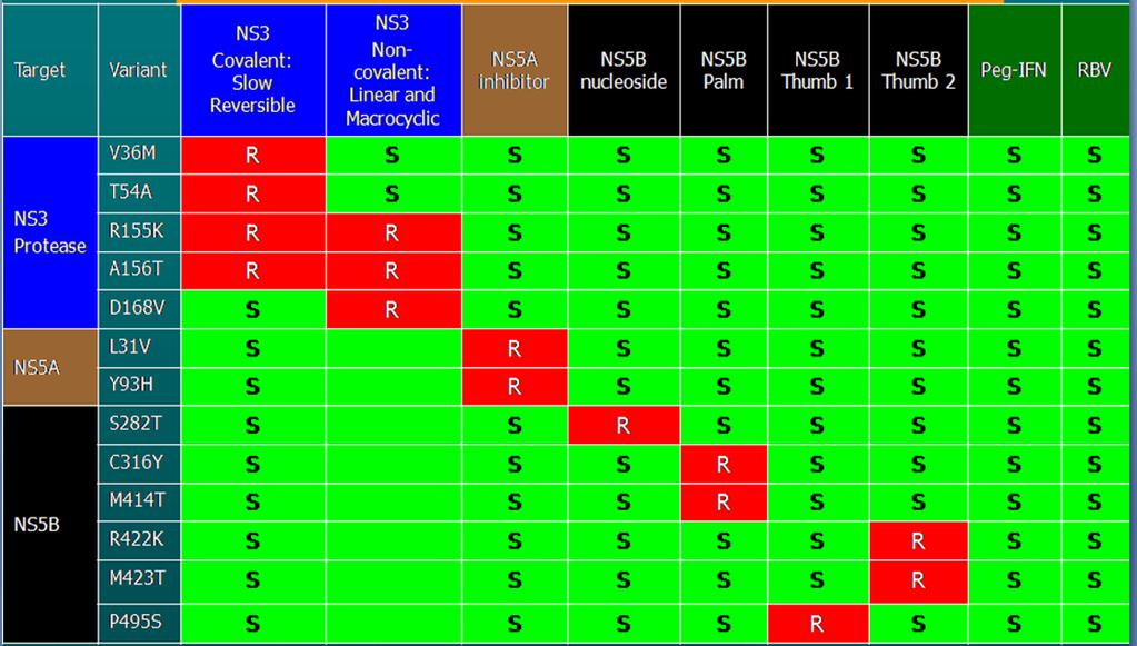 Peg-IFN + RBV + oral antiviral