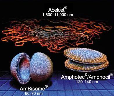 Lipid Formülasyonlu Amfoterisin B AmBisome : lipozomal amfoterisin B Abelcet : amfoterisin B lipid kompleks