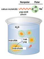 Esterlerin hidroliz reaksiyonlarının mekanizmaları SAPNİFİKASYN Asit ve baz katalizle hidrolizler karşılaştırıldığında en belirgin fark şu şekilde özetlenebilir: Alkali hidroliz SAPNİFİKASYN * Asit