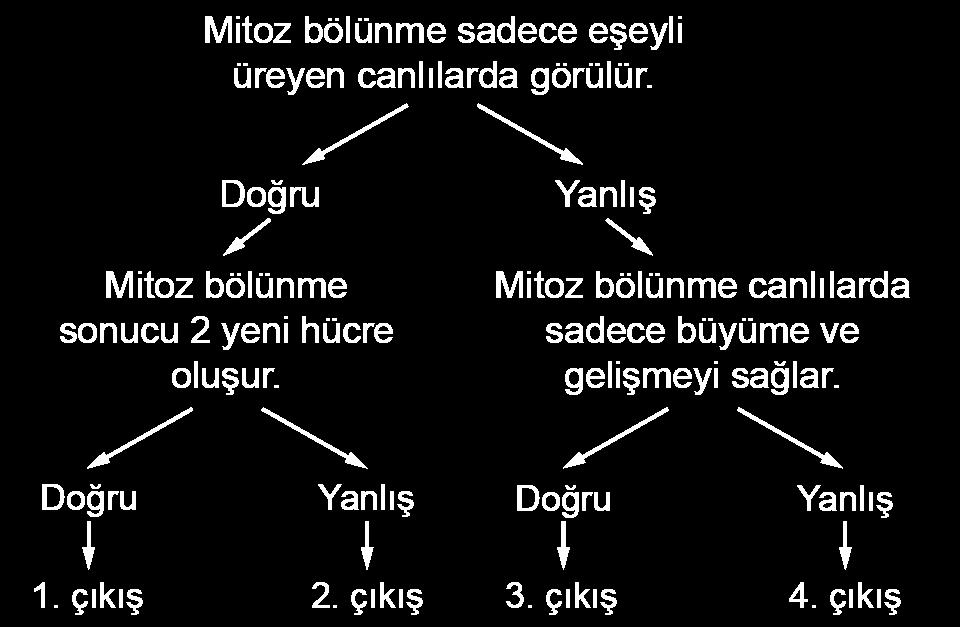 MİTOZ-2 KAZANIM KAVRAMA TESTİ8. SINIF 4 FEN BİLİMLERİ 1. 4. Aşağıda X hücresinde gerçekleşen mitoz bölünmeye ait bir evrenin şekli verilmiştir.