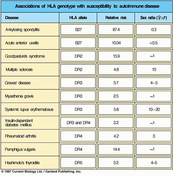 Association between HLA and