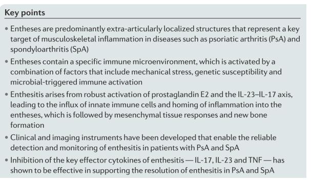 Entezit: Patogenezden Tedaviye 1. Entezler daha çok ekstraartiküler yerleşimli 2. SpA ve PsA da immun sistemin ana hedefi 3. Entezlerde spesifik bir mikro çevre mevcut 4.