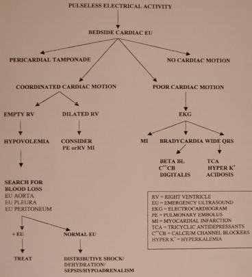 Nabızsız elektriksel aktivite Kardiyak ultrason Nabızsız Elektriksel Aktivitesi Olan Hastalarda tamponad Koordine kalp hareketleri sağ vent boş