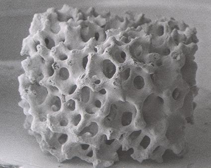 Kalsiyum Fosfat Seramikler Sentetik kalsiyum fosfatlar, kemik içerisinde bulunan mineralle yapı ve kompozisyon
