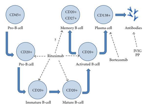 Rituksimab