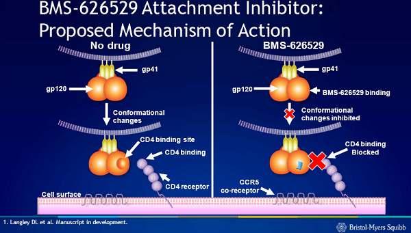Fostemsavir (BMS-663068) Tutunma inhibitörü (gp120 ye