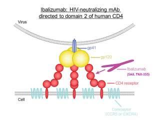 İbalizumab (TMB-355) HIV e karşı geliştirilmiş ilk biyolojik ajan Monoklonal antikor CD4 proteinine bağlanır ve tutunmadan sonra virüsün hücreye girmesini engeller (konformasyonel değişikliği