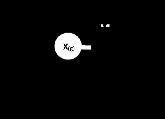 14) 2A + B + C ürün tepkimesi için aynı sıcaklıkta yapılan bazı deney sonuçları aşağıdaki gibidir; Deney [A] [B] [C] Hız 1 0,02 0,10 0,30 2,4.10-4 2 0,04 0,30 0,20 6,4.10-4 3 0,02 0,30 0,20 1,6.