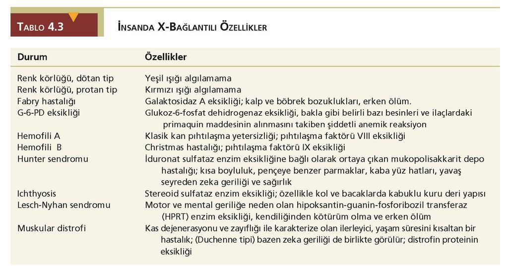 4.10 X-Bağlantılı terimi X kromozomu üzerindeki genleri ifade eder.