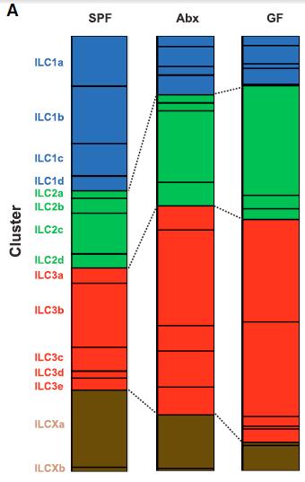 Helper-like ILCs Mikrobiyotası Değişime uğramış