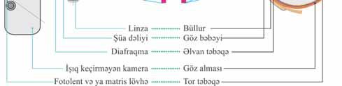 Adi və rəqəmsal aparatlar işığahəssas elementinə görə fərqlənir: bu element adi fotoaparatda fotolent, rəqəmsal fotoaparatda matris lövhədir.