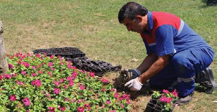 Hasbahçe de yeni çiçekler dikildi, barbeküler temizlendi. Özellikle haftasonları Hasbahçe yi piknik yapmak ve dinlenmek için kullanan vatandaşların mangal yapabilmesi için özel alanlar da bulunuyor.