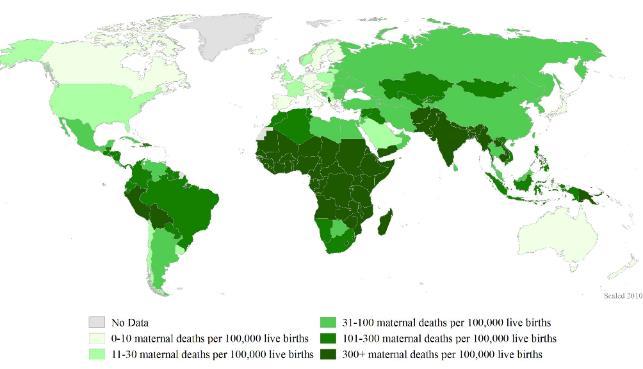Maternal Mortalite 2015 yılı; anne ölümü 303.