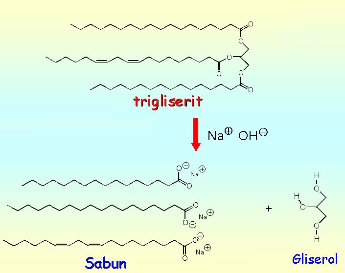 Yağ asitlerinin gliserolün 3 hidroksil grubuyla esterleşmesi sonucu triaçilgliserol (trigliserit) oluşur.