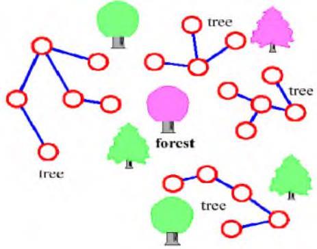 40 Graflar-Tanımlar Ağaç (tree): Döngü olmayan