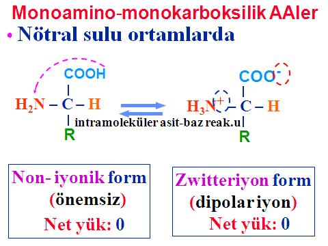 Amino Asitler, sulu