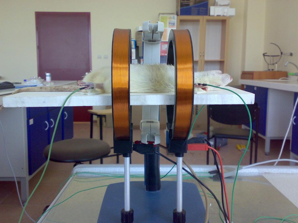 33 Helmholtz bobin düzeneği olarak kullandığımız halkaların çapı 10 cm ve halkalar arasındaki mesafe 10 cm idi. Bu halkalar arasına rahatça girebilen PVC plak (10 x 15 x 0.