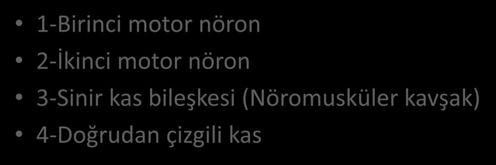 Kas zaafı 1-Birinci motor nöron 2-İkinci motor nöron