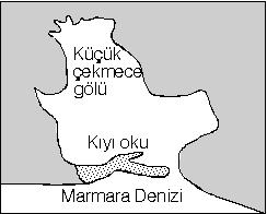 Türkiye de en fazla Doğu Karadeniz Batı Karadeniz ve Akdeniz Bölgesinin Antalya bölümünde görülür.