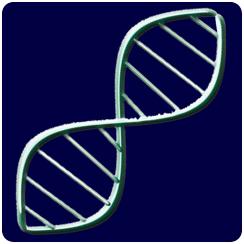 BiyoTeknoloji Elektronik Dergisi Cilt: 1, No: 2, 2010 (1-9) Electronic Journal of BioTechnology Vol: 1, No: 2, 2010 (1-9) TEKNOLOJİK ARAŞTIRMALAR www.teknolojikarastirmalar.