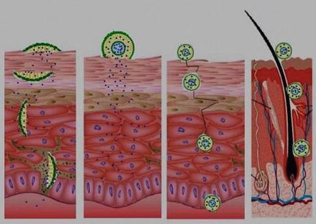 Transdermal Dalga Teknolojisi Enjeksiyon yönetimden sonra en etkili yöntem olan Transdermal Dalga Teknolojisi, NCM Mediband ın içeriğindeki milyonlarca mikrokapsülün