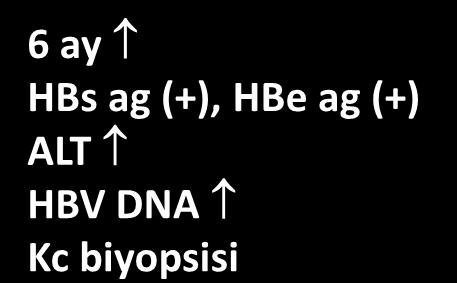 biyopsisi 6 ay HBs ag (+), HBe ag (+) ALT N