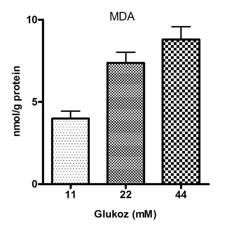 31 4.4. Malondialdehit Sonuçları Bu çalışmada MDA düzeylerinin hiperglisemik koşullarda (22 ve 44 mm glukoz içeren krebs solüsyonu) anlamlı bir şekilde arttığı gözlenmiştir (Tablo 5, 6 ve Şekil 8).