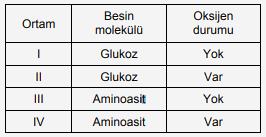 -O tüketimi artar. Enerji verici olarak kullanılan glikoz, yağ asidi ve gliserol gibi monomerlerin miktarı azalır. Yoğunluk azalır. CO artar. ph düşer. Asitlik artar. Üretilen ATP artar.