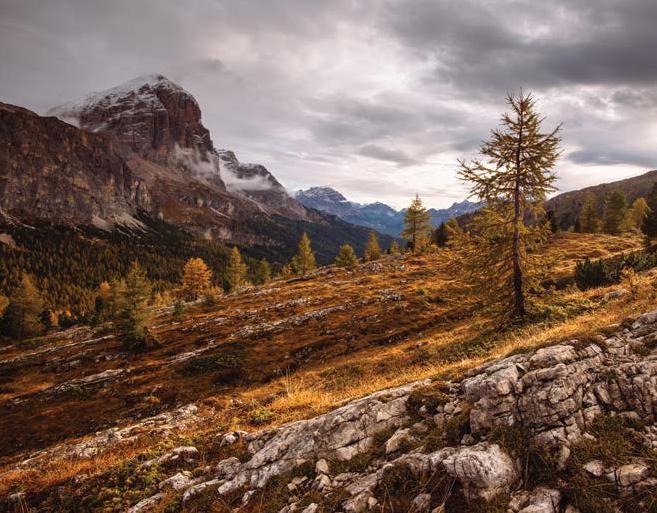 Ilgaz ın etkileyici havası, şimdi Natura Serisi nin Ilgaz Meşe renkli