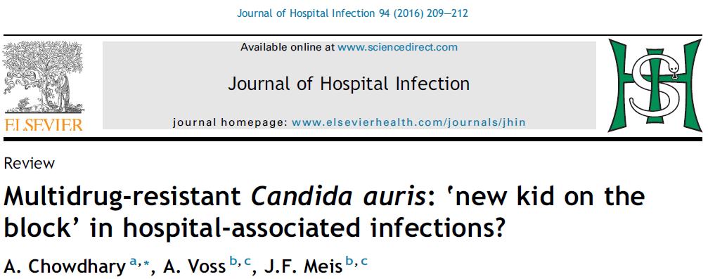 38 Candida auris Nozokomiyal salgınlar Çoklu direnç: FLU R, diğer azoller, AMB ve ekinokandinlere duyarlılık değişken Doğru tanımlanması
