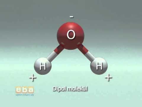 Hidrojen Bağları Bu çekimin sonucunda kendisi kısmi negatif yüklü hale gelirken diğer atom kısmi