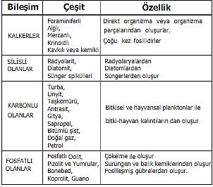 Şekil 51. Kimyasal Tortul Kayaçlara Örnek: Kalker Şekil 52.