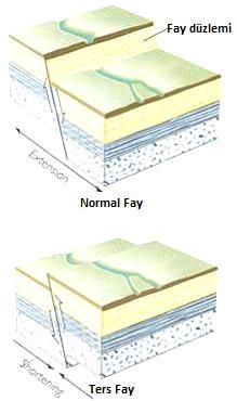 - Ters fay: Bu tür faylarda tavan bloğu taban bloğuna nazaran yukarıya doğru hareket etmiştir. Topoğrafyada yaklaşıma bağlı olarak kısalma hadisesi görülür. Şekil 72.