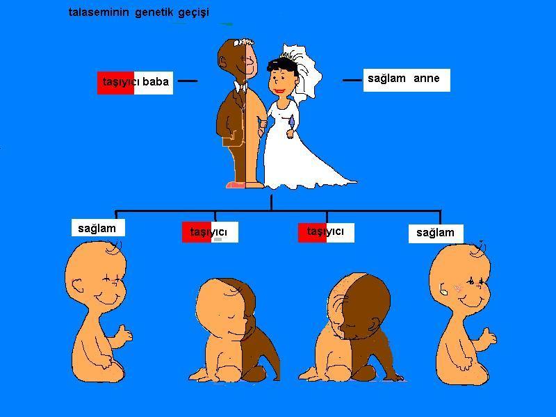 ..sık Prenatal tanı sayısı.