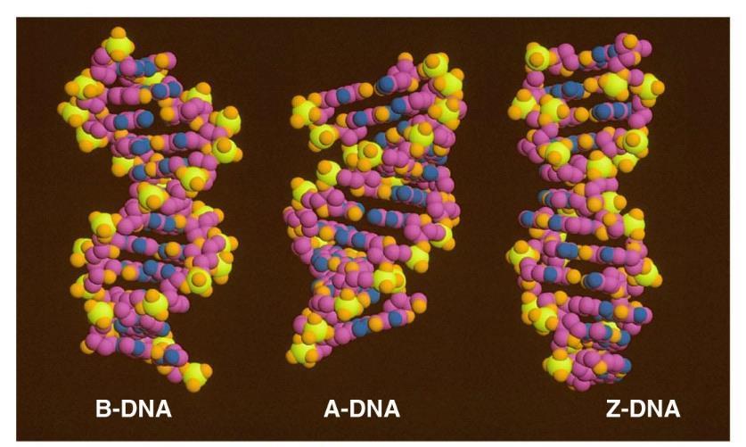 Figure 10.