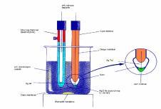 Cam elektrot, hidrojen iyonları için seçici bir elektrottur.