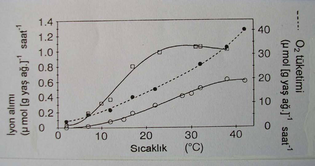 Sıcaklık: Kimyasal reaksiyonların büyük bir kısmı sıcaklığa bağımlıdır. Kimyasal reaksiyonların hızı sıcaklığın artmasına paralel olarak artış gösterir. Şekil 2.