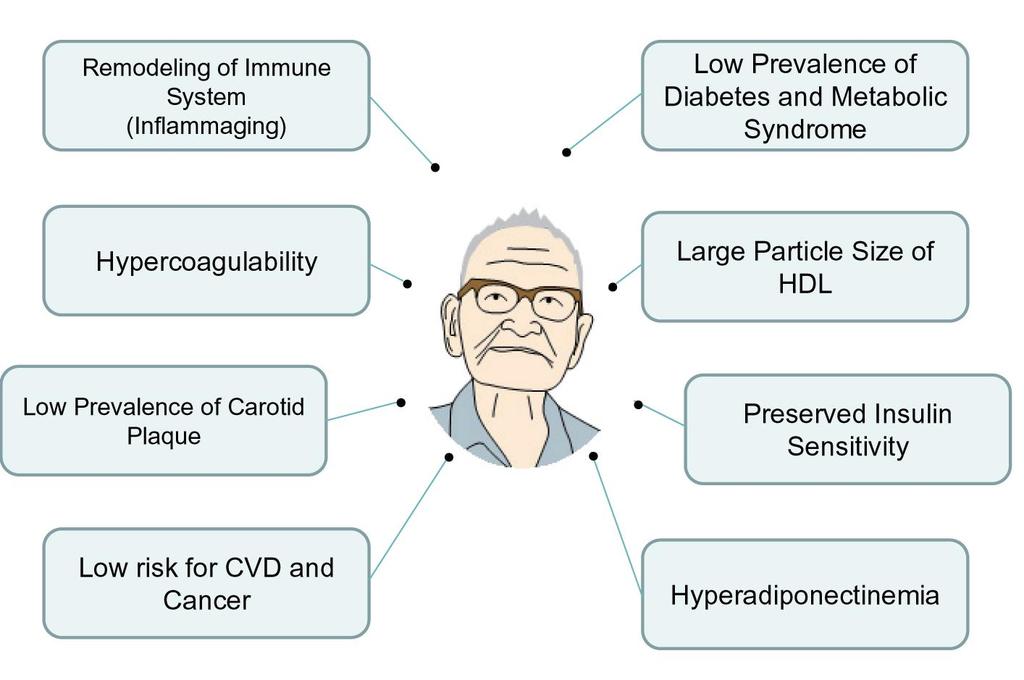 Leptin azalır Koagülasyon