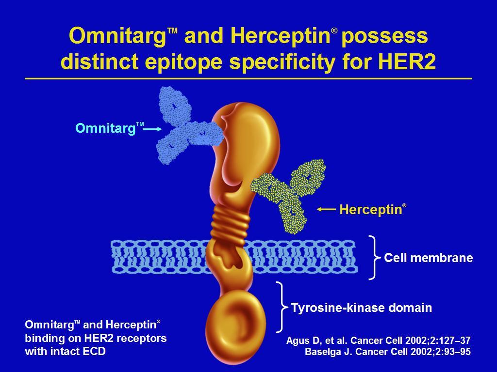 Omnitarg ve Herceptin: Farklı epitop