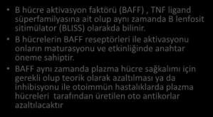 BAFF İNHİBİTÖRLERİ (BELIMUMAB & BLISIBIMOD) B hücre aktivasyon faktörü (BAFF), TNF ligand süperfamilyasına ait olup aynı zamanda B lenfosit sitimülator (BLISS) olarakda bilinir.