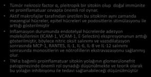 TNF-ALPHA İNHİBİTÖRLERİ (İNFLİXİMAB, ETANERCEPT VE ADALİMUMAB) Tümör nekrosiz factor α, pleitropik bir sitokin olup doğal immünite ve proinflamatuar cevapta önemli rol oynar.