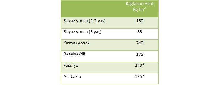 Tablo 1. Farklı legüm türlerince N bağlama oranları * Bağlanan azotun çoğunluğu dane içinde kalır 4.