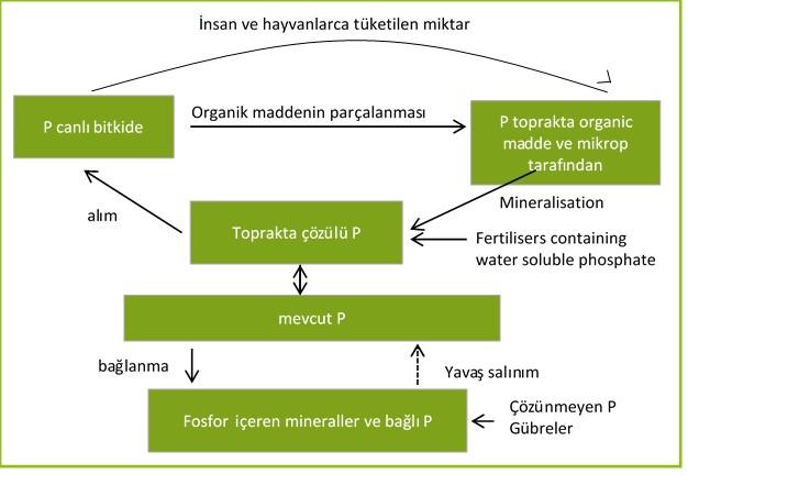 Şekil 5.