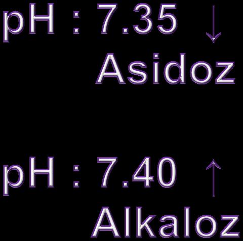 KANIN FİZİKSEL ÖZELLİKLERİ Kanın kırmızı rengi eritrositler içinde bulunan ve Fe içeren hemoglobinden (Hb) kaynaklanmaktadır.