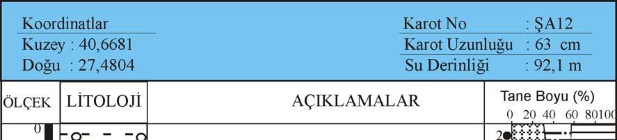 Karot ŞA12, Hoşköy Marmara Adası arasında Marmara Adası na daha yakın yerden 92 m su derinliğinden alınmıştır (Şekil 3.2, Çizelge 3.2). Karot ŞA12 de hakim renk sarımtrak yeşilidir.