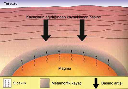 Başkalaşım